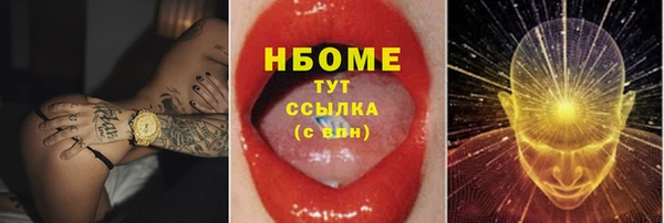 шишки Богородицк