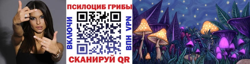 Галлюциногенные грибы Psilocybe  Оленегорск 
